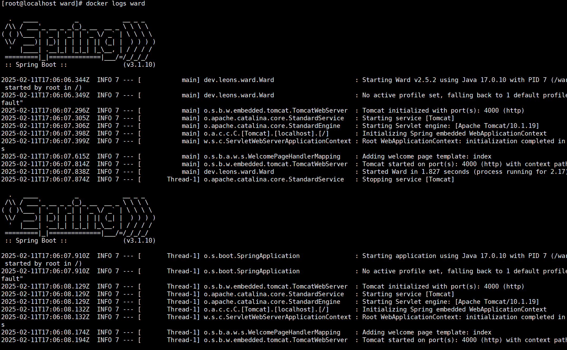 image-20250211170924900