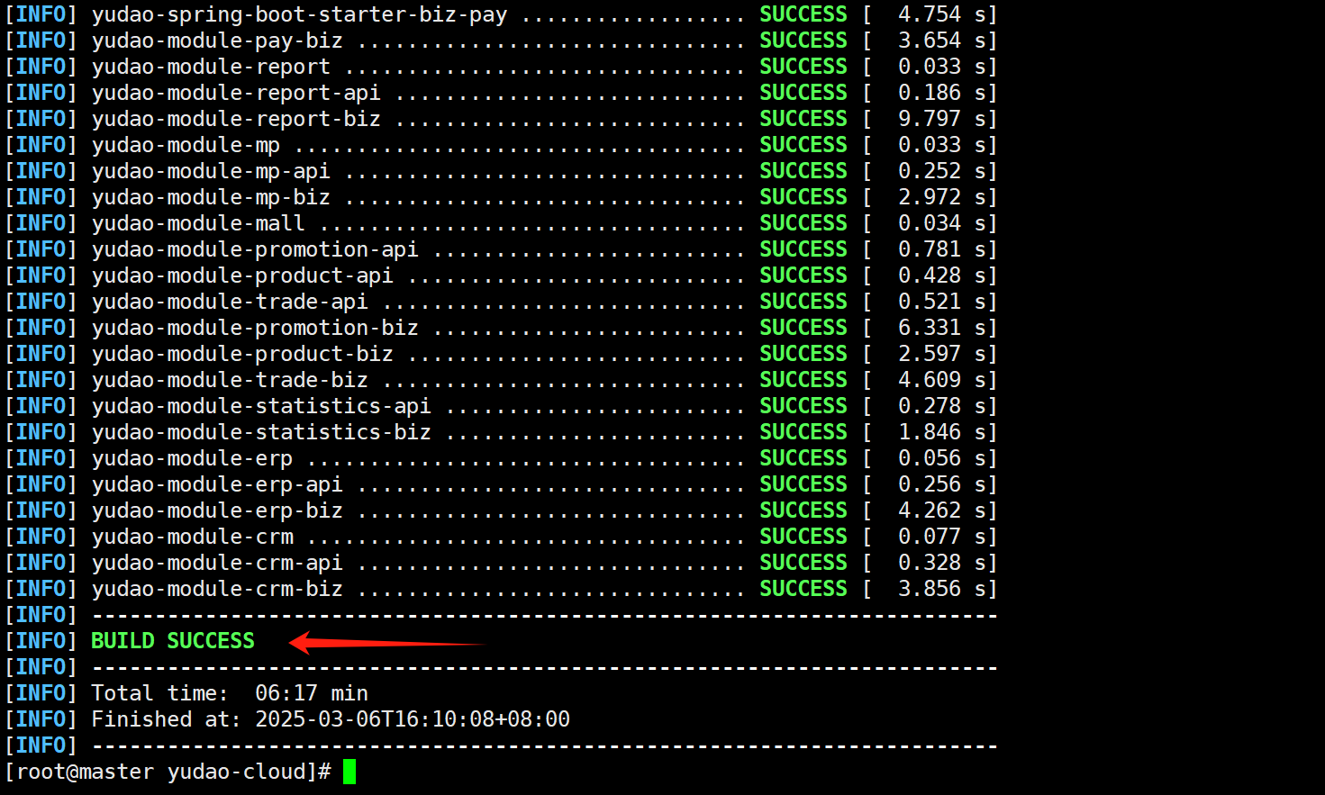 image-20250306161049230