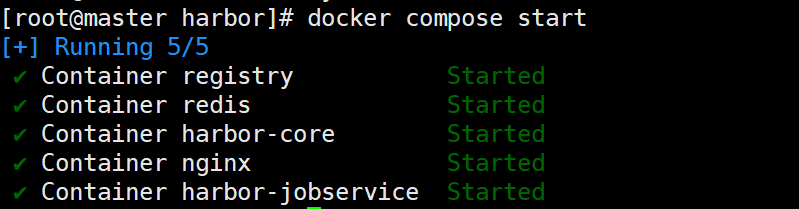 image-20250310161037852