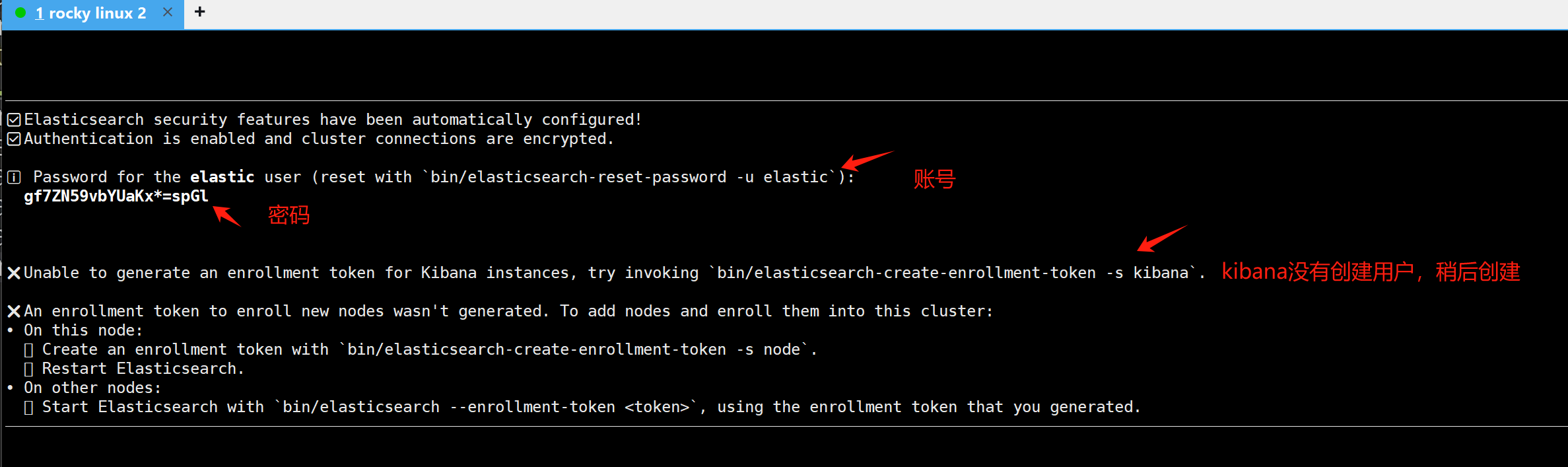 image-20250316104633956